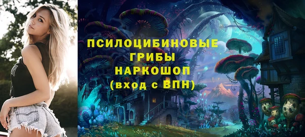 трава Ладушкин