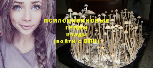 трава Ладушкин
