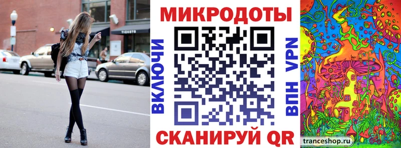 закладка  Яхрома  Псилоцибиновые грибы Psilocybe 